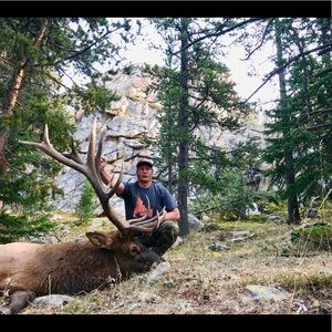 Meet your Posher, Talon